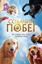 Собачий побег
